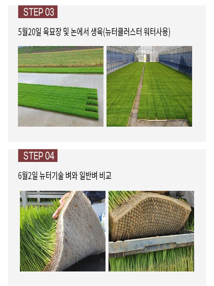 ddc99f1a81ec6659fa809273f0e1222e_1630463210_1519.jpg