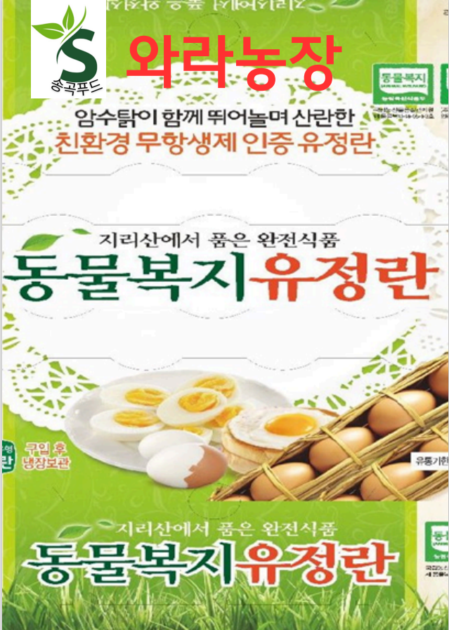 f4a7e34fda824e2056a436314d0fc521_1735714603_967.png